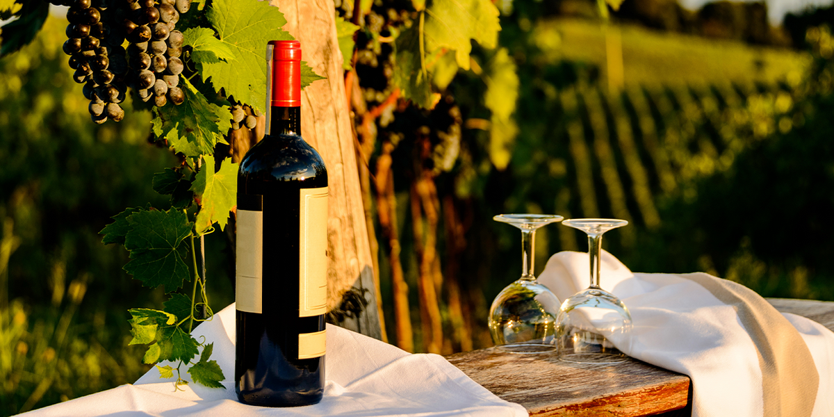 Introduction to Chianti