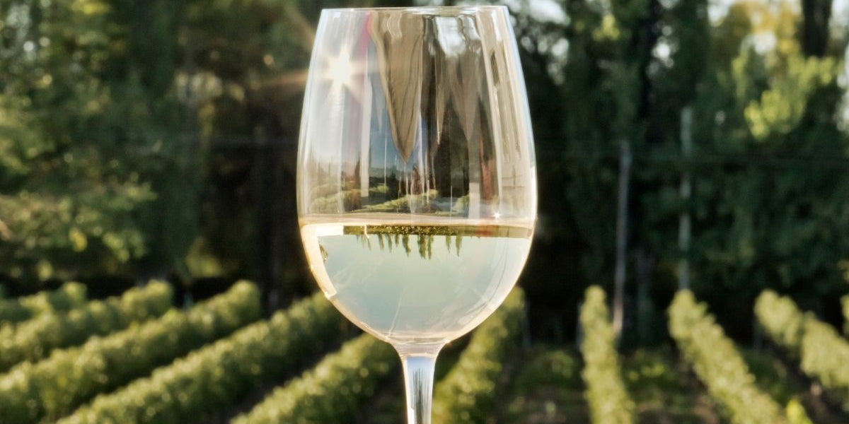 Zodiac Wine Pairing: Gemini