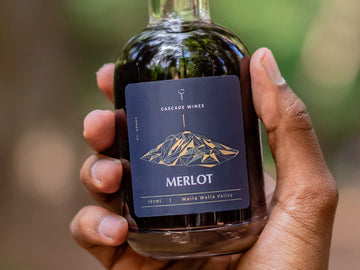 Introduction to Merlot