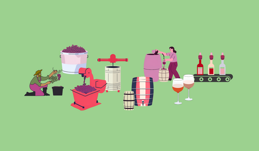 How to Make Wine: The Winemaking Process Explained