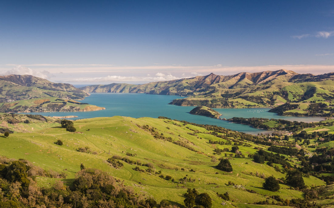 The Delicious Down Under - Wines from AU & NZ